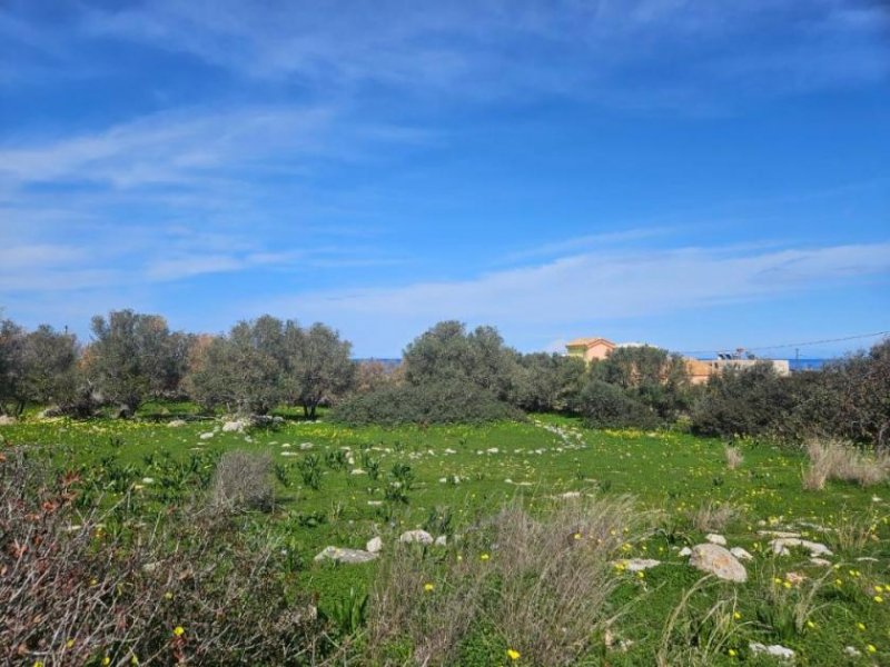 Milatos Kreta, Milatos: Baugrundstück im Zentrum in Meeresnähe zu verkaufen Grundstück kaufen